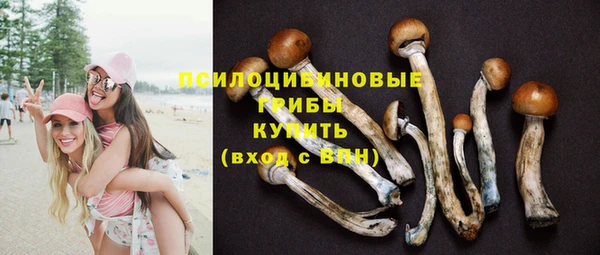 крисы Балабаново