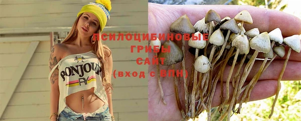 крисы Балабаново