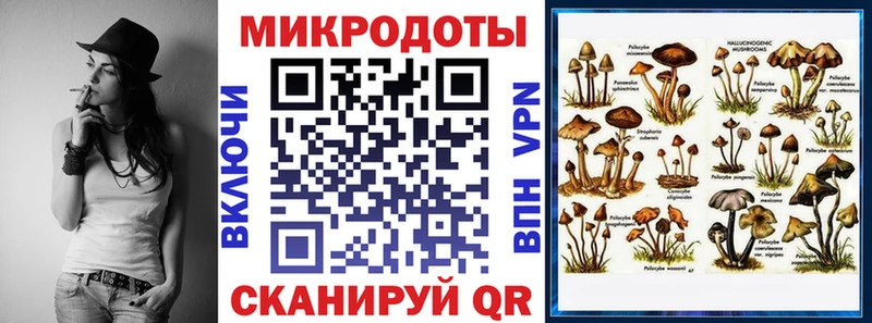 продажа наркотиков  KRAKEN как зайти  Псилоцибиновые грибы Psilocybe  Курганинск 